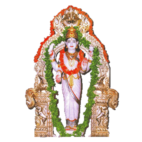 Arya Vysya Biodata icon